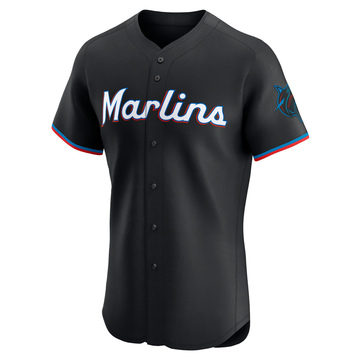 Men's Miami Marlins Liam Hicks Black Alternate Vapor Premier Jersey - Elite