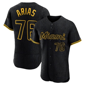 Men's Miami Marlins Luarbert Arias Black Snake Skin City Jersey - Authentic