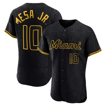 Men's Miami Marlins Victor Mesa Jr. Black Snake Skin City Jersey - Authentic